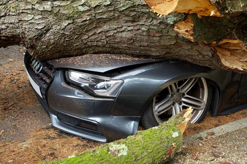 Voiture écrasée par un arbre tombé, pneu et carrosserie endommagés Voiture écrasée par un arbre tombé, pneu et carrosserie endommagés